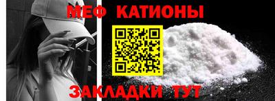 шишки Обь