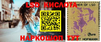 шишки Обь