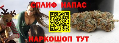 шишки Обь