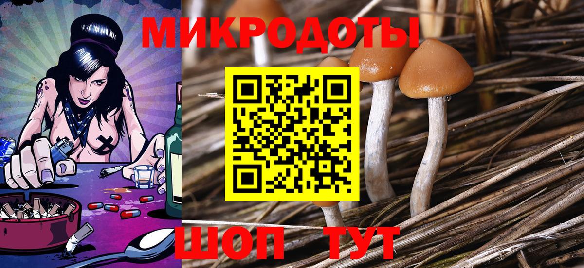 где можно купить   Вход с VPN  Псилоцибиновые грибы мухоморы  Новосибирск  Псилоцибиновые грибы Psilocybe 